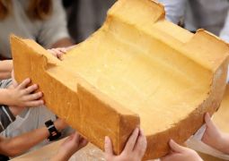 לצפות למקדש בכל החושים